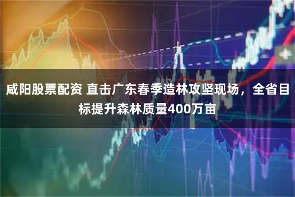 咸阳股票配资 直击广东春季造林攻坚现场，全省目标提升森林质量400万亩