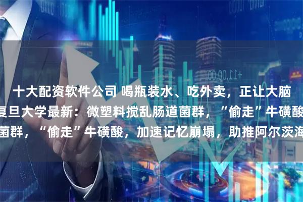 十大配资软件公司 喝瓶装水、吃外卖，正让大脑“生锈”，加速痴呆！复旦大学最新：微塑料搅乱肠道菌群，“偷走”牛磺酸，加速记忆崩塌，助推阿尔茨海默病